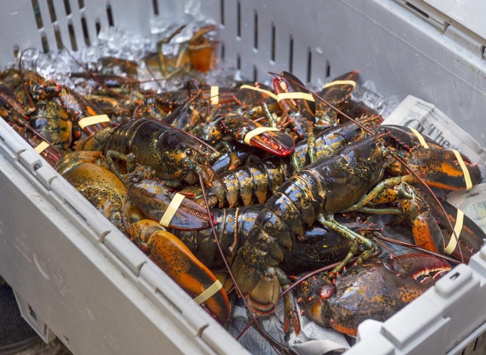Iced Lobster Crates